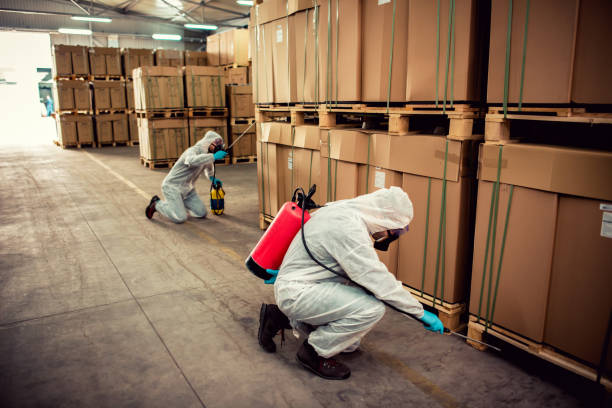 Best Bed Bug Extermination  in Sullivan Gardens, TN