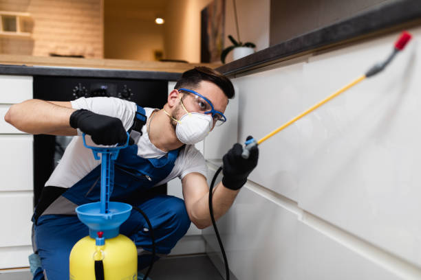 Professional Pest Control in Sullivan Gardens, TN