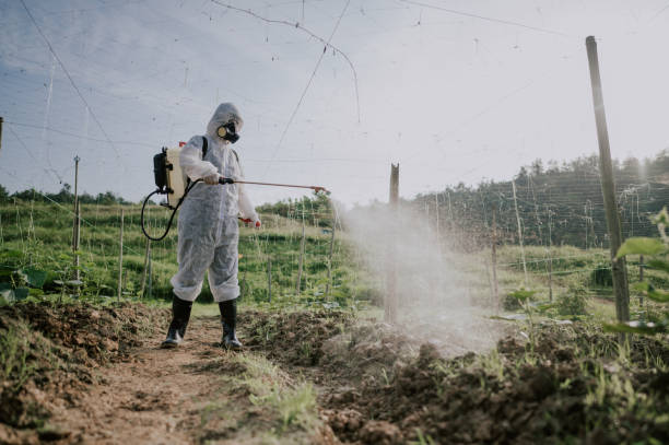 Best Pest Removal Services  in Sullivan Gardens, TN