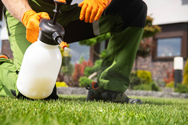 Wildlife Control Services in Sullivan Gardens, TN