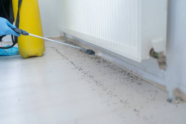 Best Emergency Pest Control  in Sullivan Gardens, TN