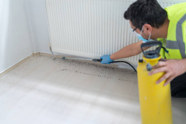 Best Pest Prevention Services  in Sullivan Gardens, TN