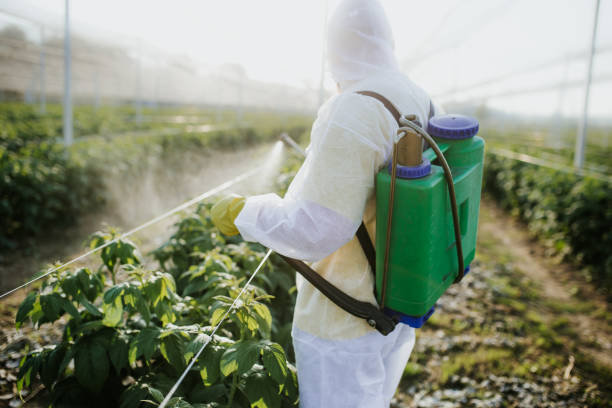 Best Residential Pest Control  in Sullivan Gardens, TN